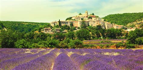 freedreams|freedreams france.